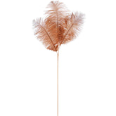 Federn Braun 70Cm- (Dt-229084A)